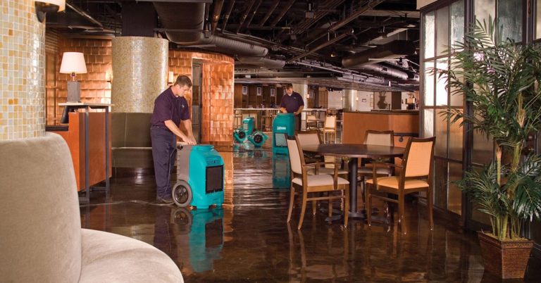 local water damage company Palm Beach, FL